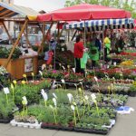 Croatia, Zagreb: train station flower stalls