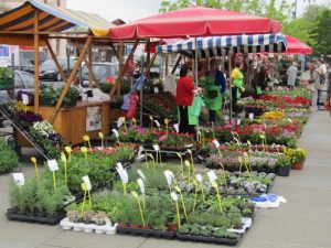 Croatia, Zagreb: train station flower stalls