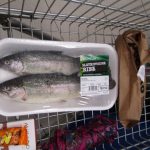 Croatia, Zagreb: fish in a basket in a food shop