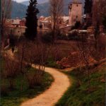 Greece, Mount Athos: path from one monastery to another